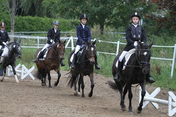 Bild 1100 - WBO-Turnier am 18.9.11